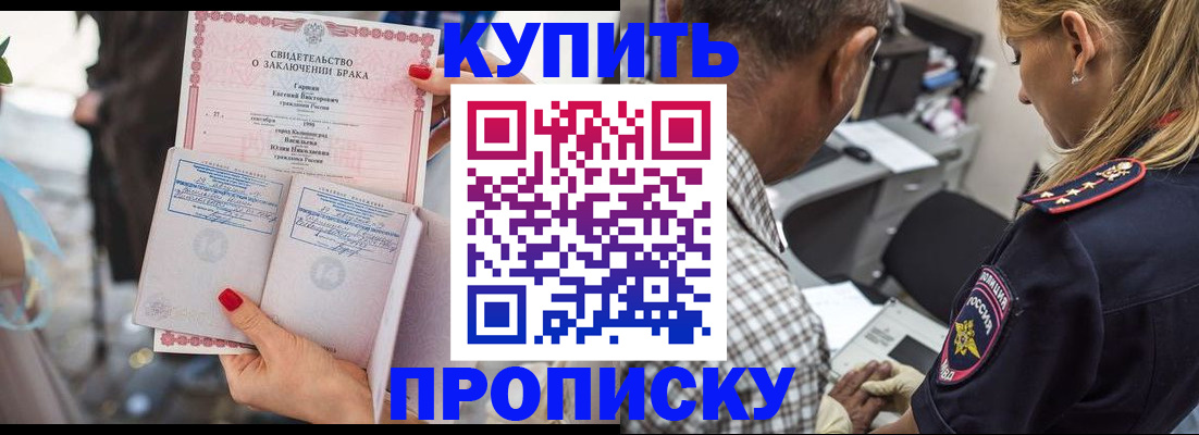 прописка законно в Апатитах
